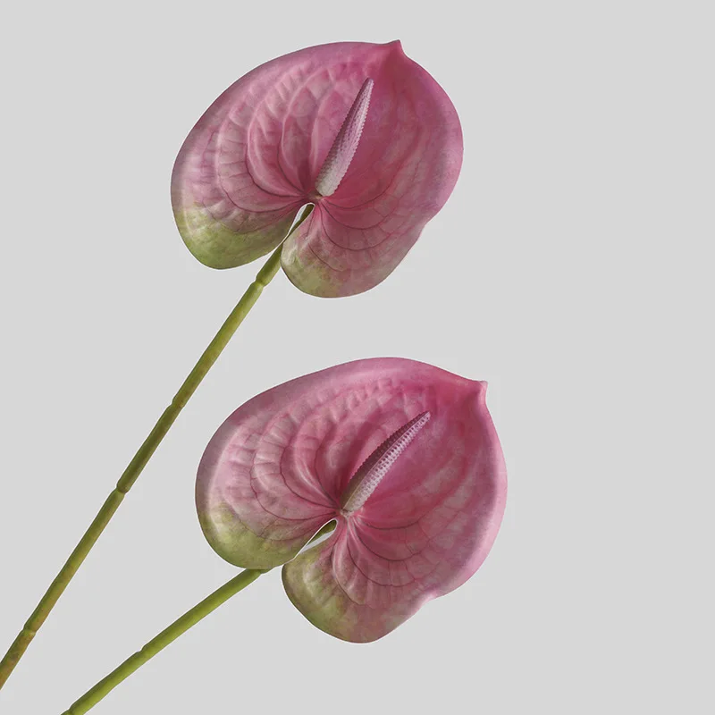 Simulated Flower Living Room H - 3D Printing House 评论和价格